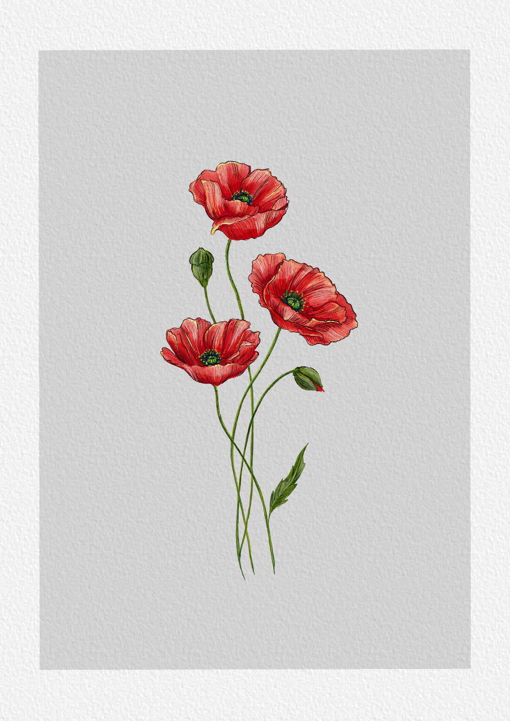 Blomsteraffisch - Ingen text