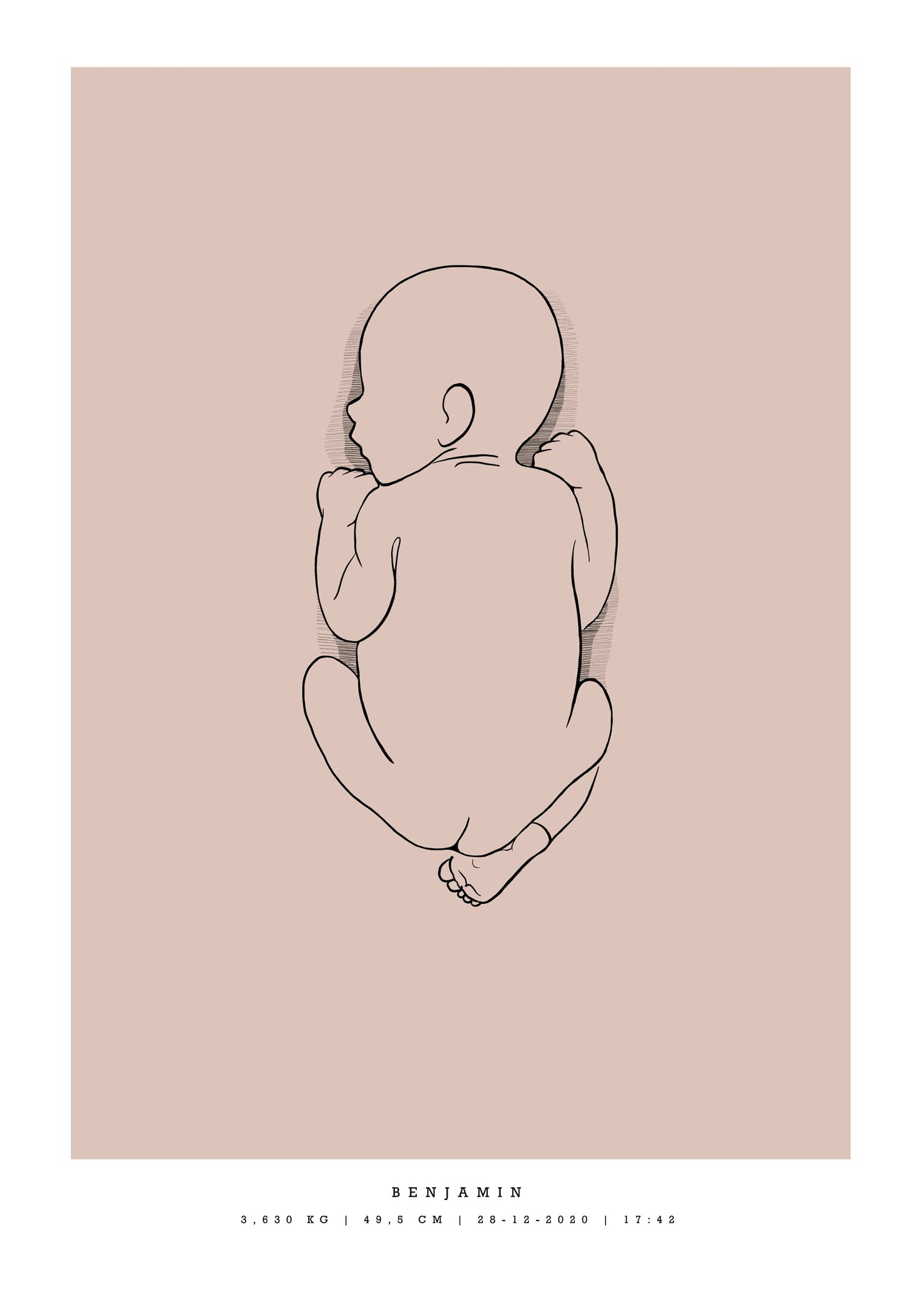 Generisk födelsetavla liten 30x40 cm