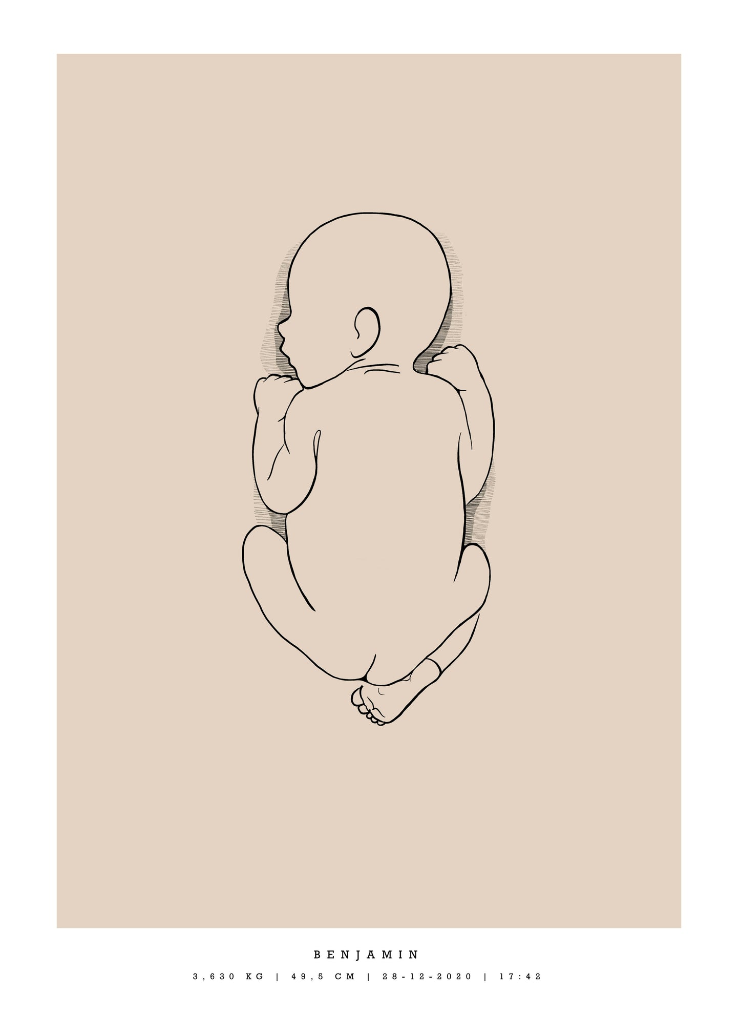 Generisk födelsetavla liten 30x40 cm