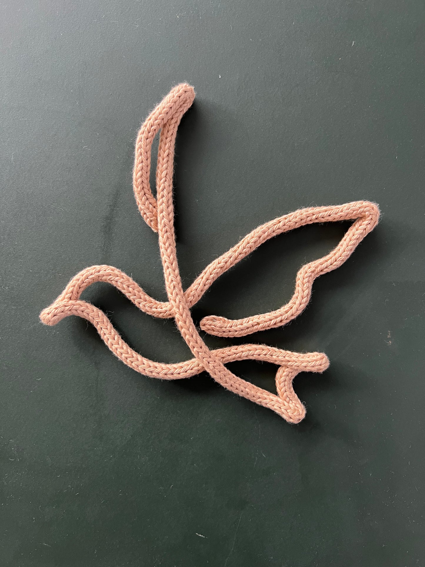 Stickade fåglar