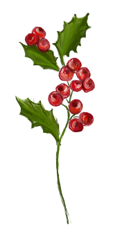 December månadsblomma – Järnek