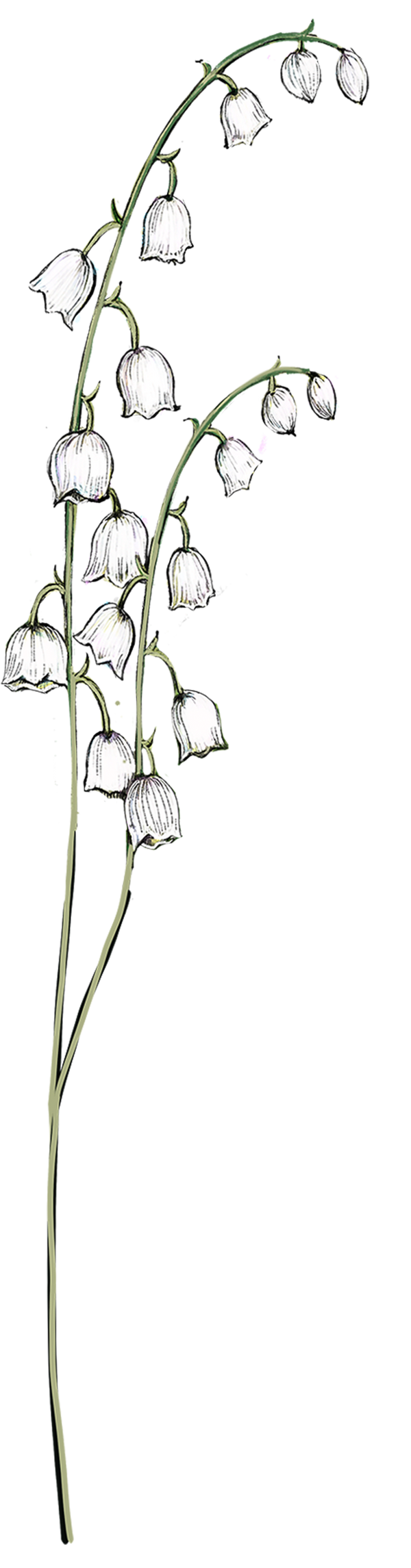 May