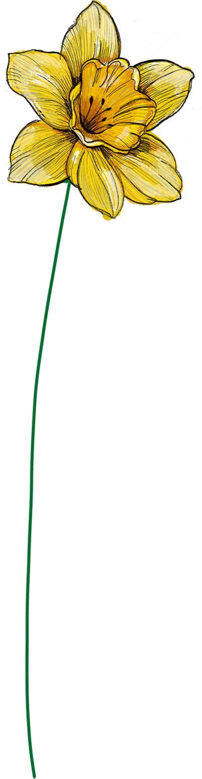 påsklilja, mars