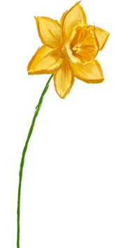 Mars månadsblomma – Påsklilja
