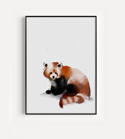 Mindre panda