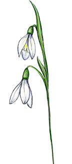 Januari