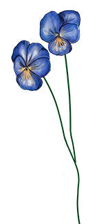februari